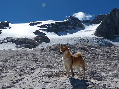 DB电竞直播平台入口-鹈鹕对决快船，保罗关键节点连续得分，诠释何为控场大师